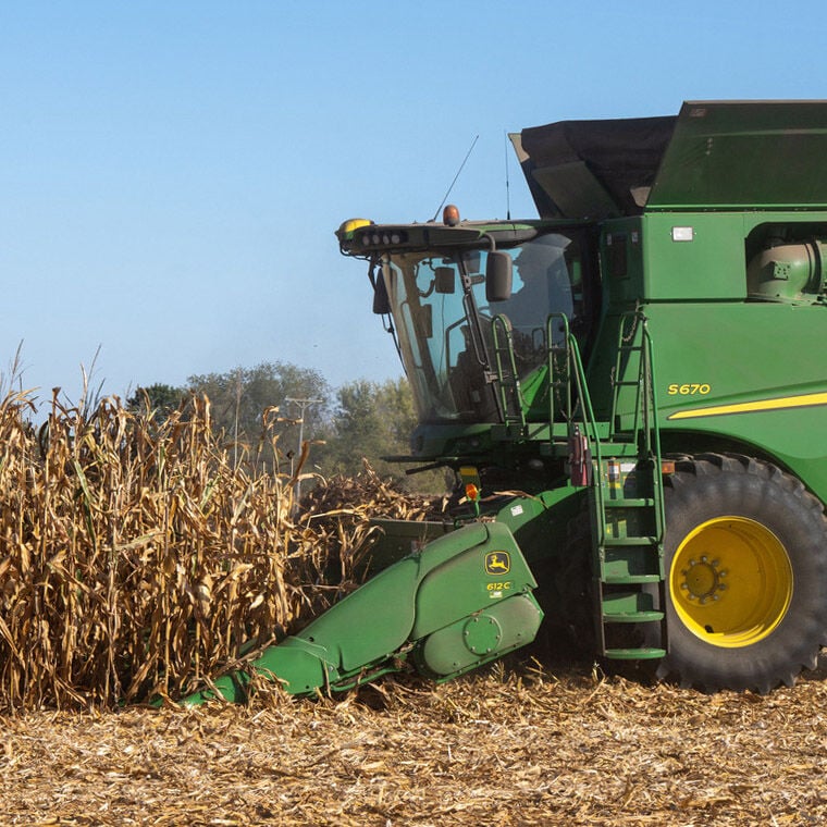 Corn