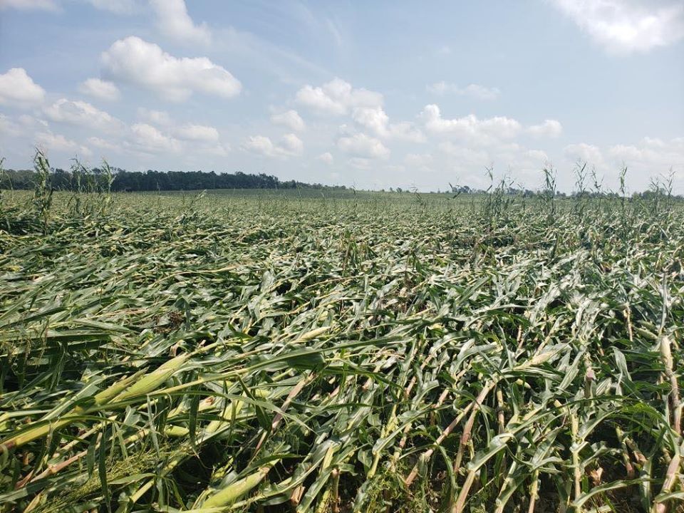 Derecho damage 08/10/2020 Iowa