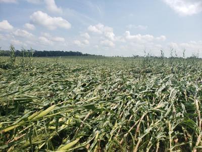 Derecho damage 08/10/2020 Iowa