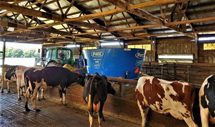 Total mixed ration mixer delivering feed