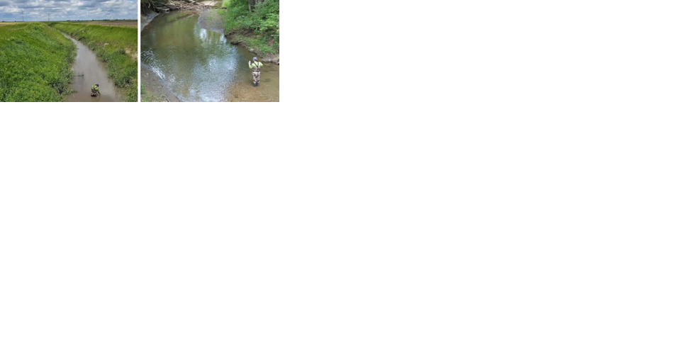 Reves and riparian buffers