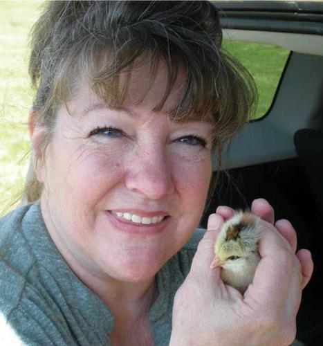 CW Katy Kassian