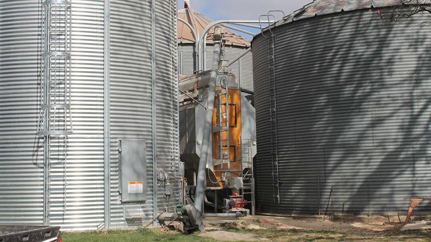 grain dryers and bins