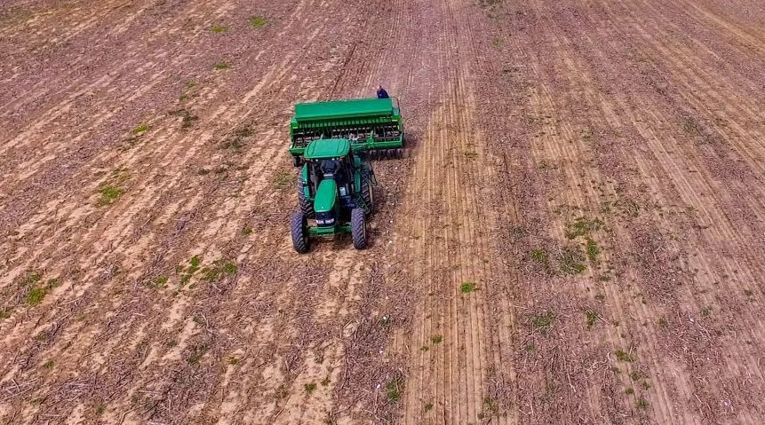 Straight-forage seeding usually best