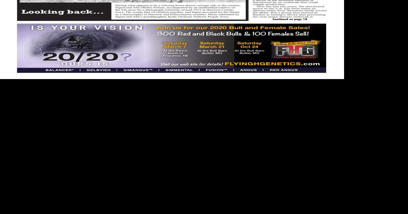 Livestock Roundup 2/28/20