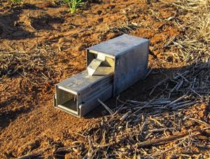 Mouse bait trap