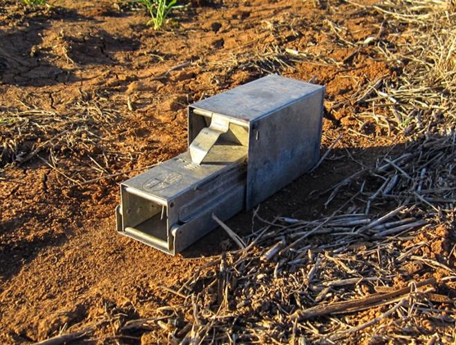 Mouse bait trap