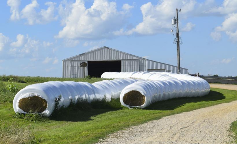 Plastic-wrapped hay