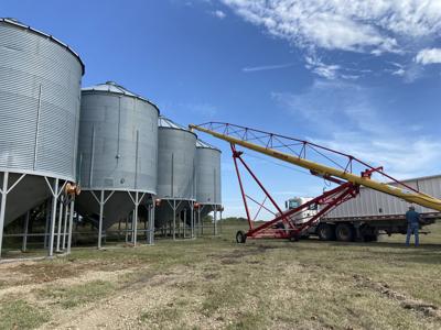 Grain bins