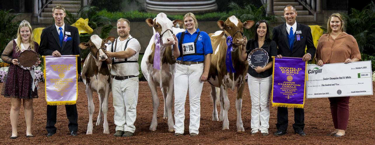 Junior champion and reserve junior champion of 2023 International Red & White Show