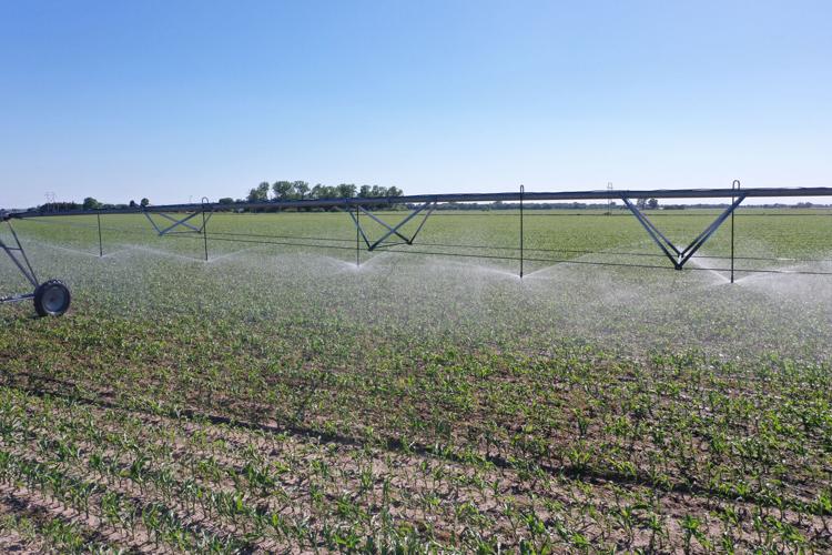 Irrigation maintenance 3 WEB.jpg