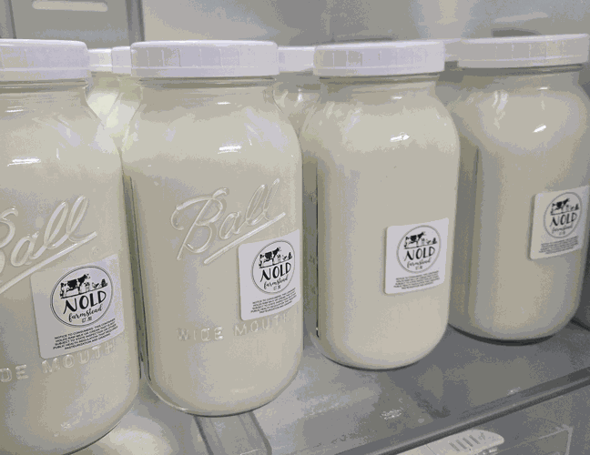 raw milk Nold Family