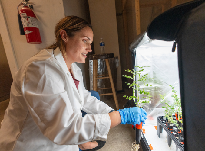 Atkin working on moondust