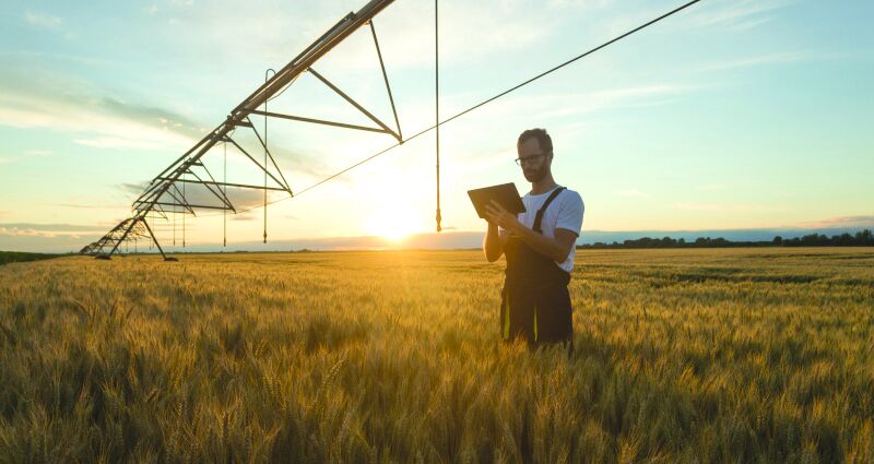 Farm Different 3.jpg