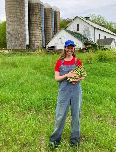 Alexandra Steussy-Williams