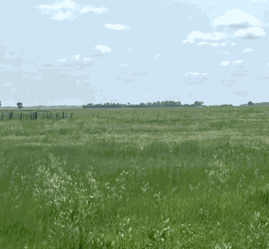 Seberger pasture