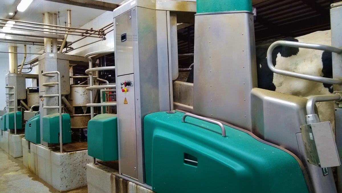 Robot installations expand in scope Dairy