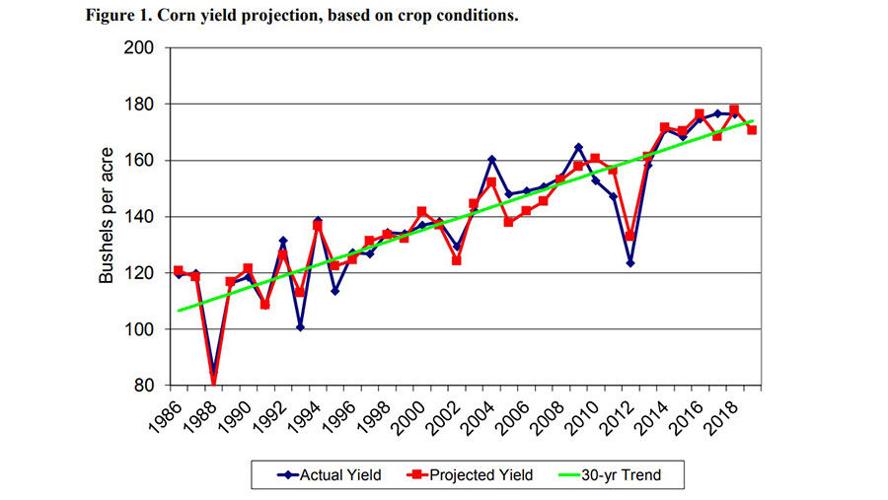 Crop holding pattern corn
