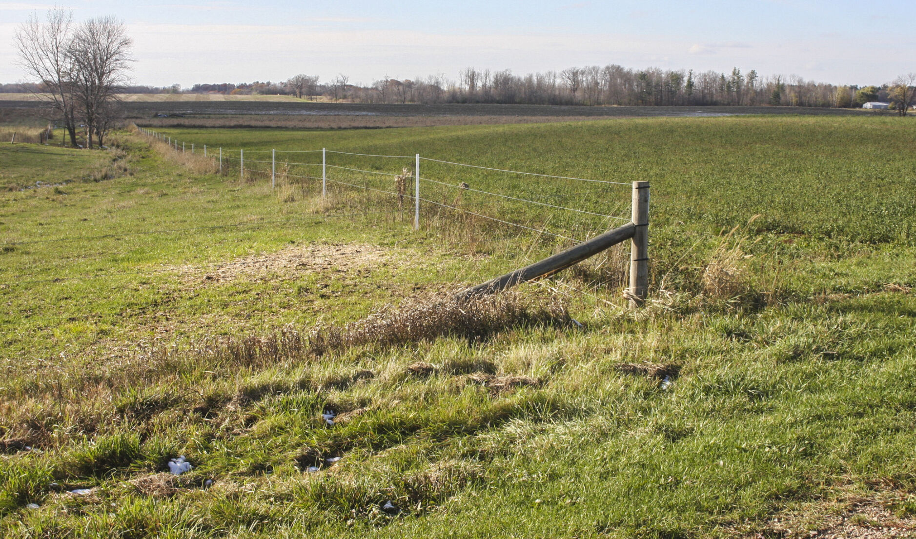 Fencing