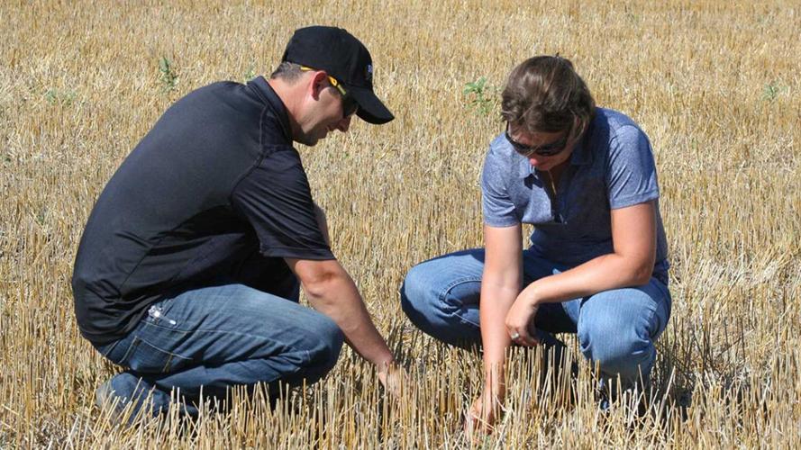 Cover-Crop-Research-photo