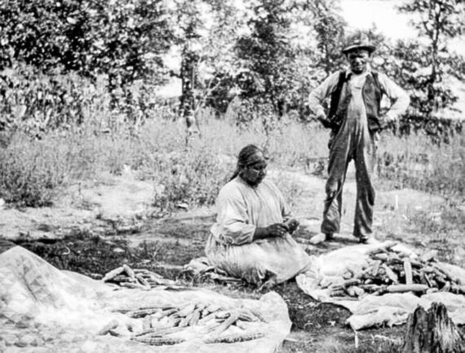 Corn preparation