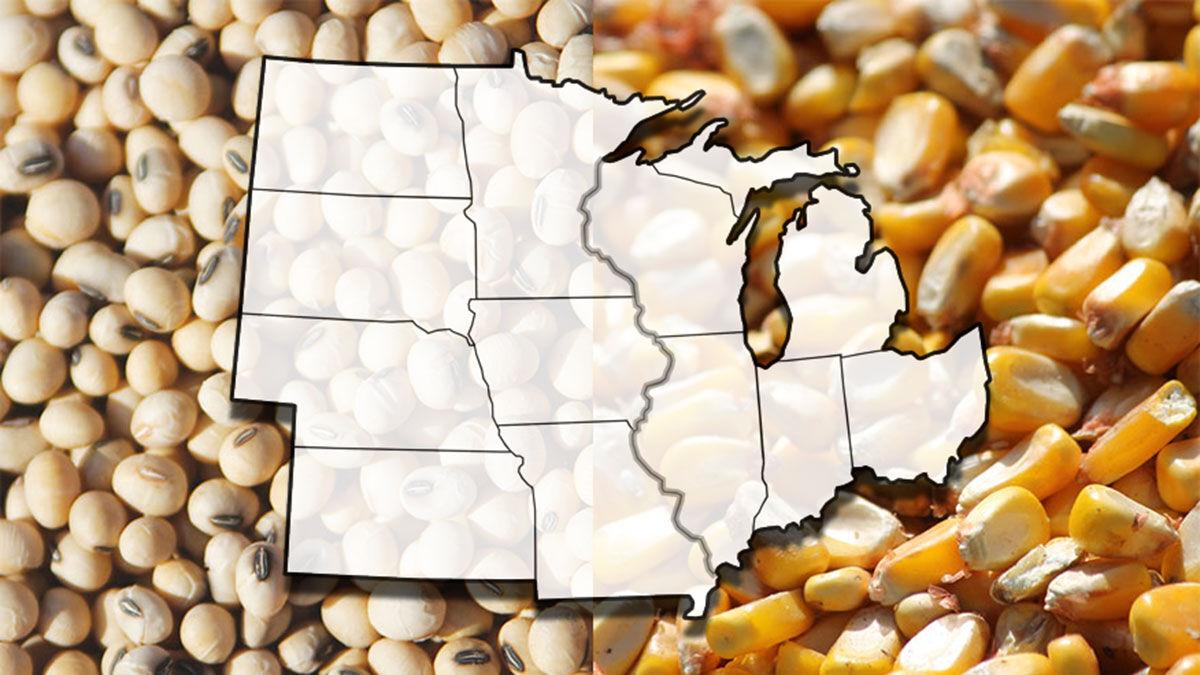 Corn and soybean Midwest map