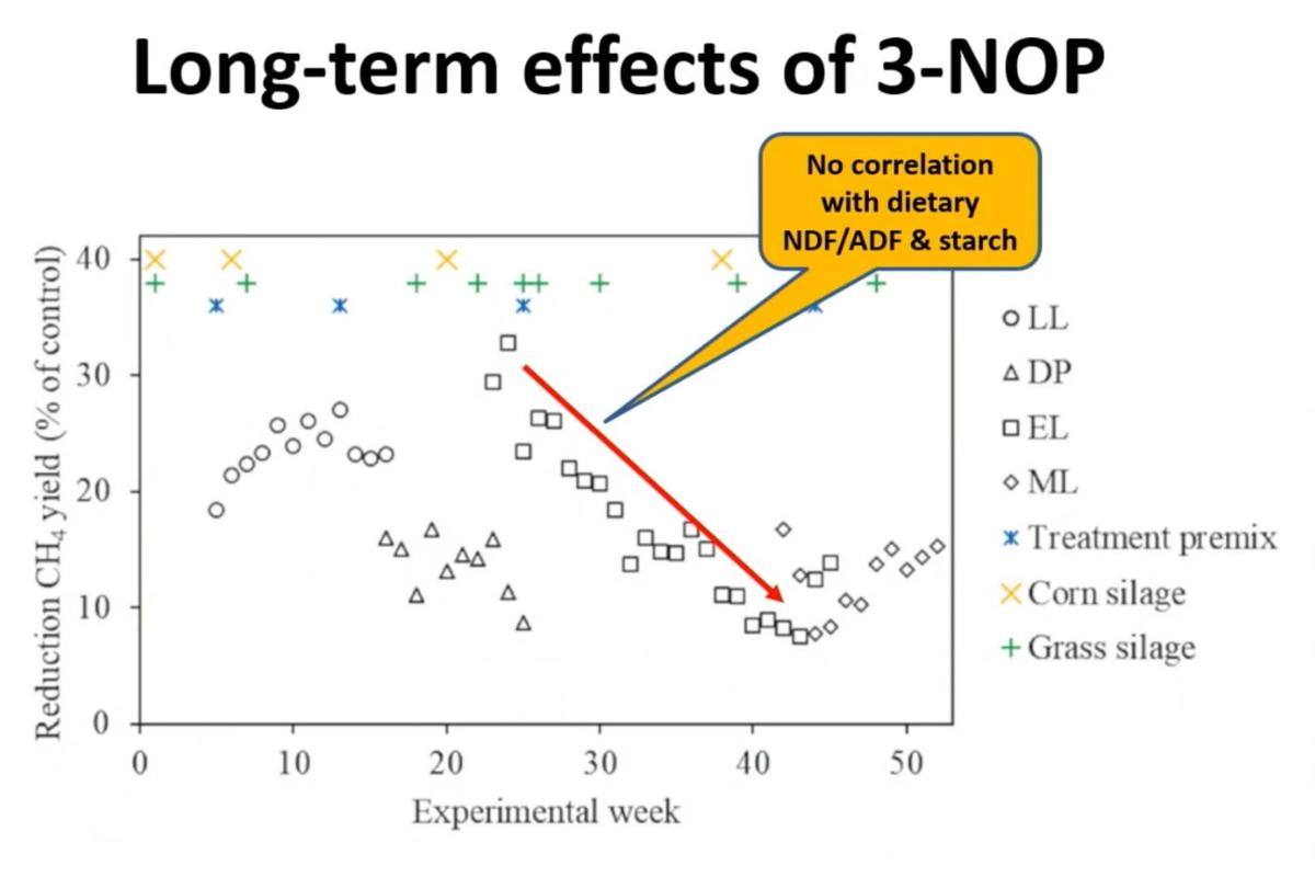 Long-term effects of 3-NOP