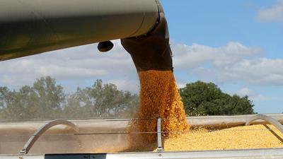 Corn unloading