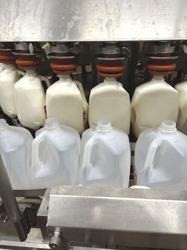 Lactose free milk (14) - worked.jpg