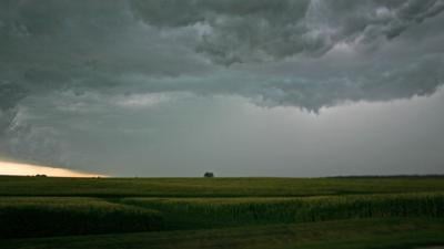 Storm clouds over corn field