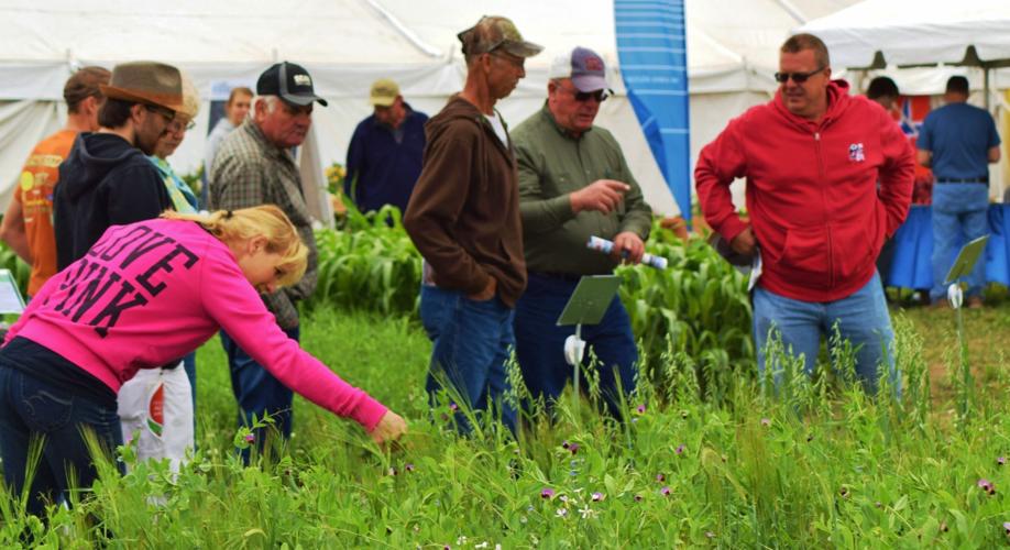 Farmers observing cover crops