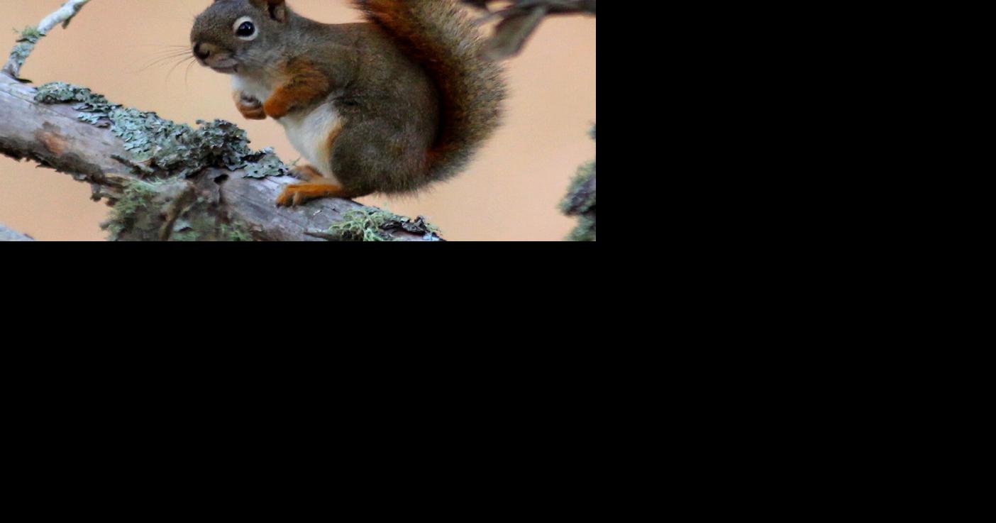 Light dawns earlier each day