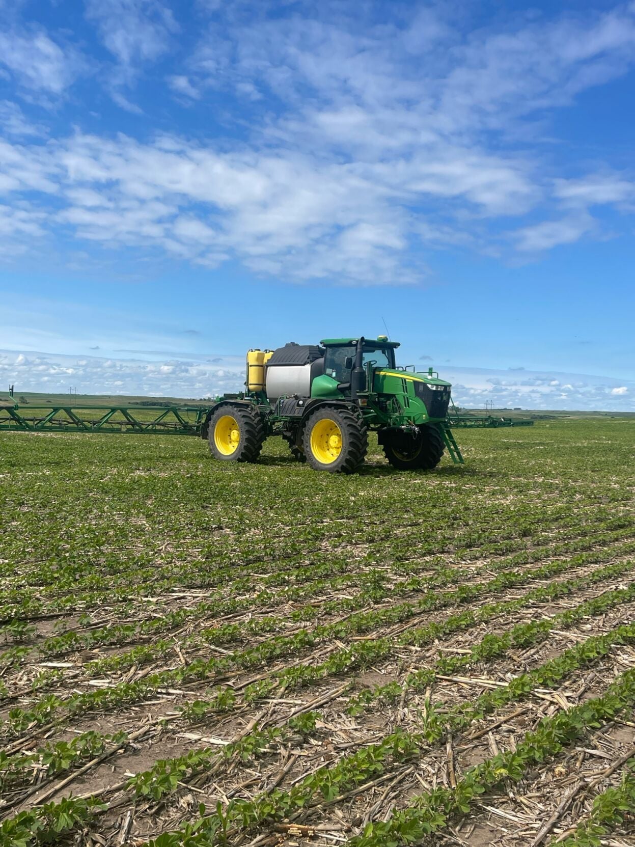 Many days in sprayer