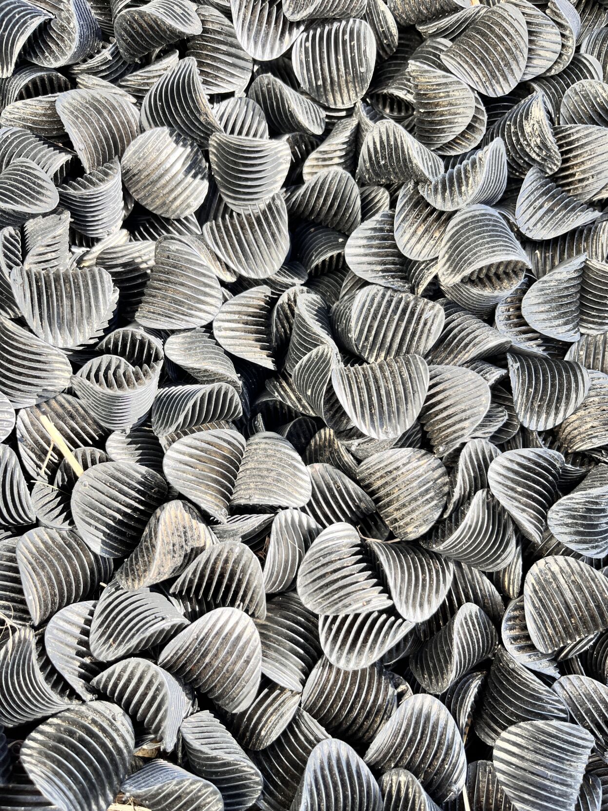 NE Vegetable and Protein 8.JPG