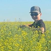 Spear applies fungicide on wheat to manage risk