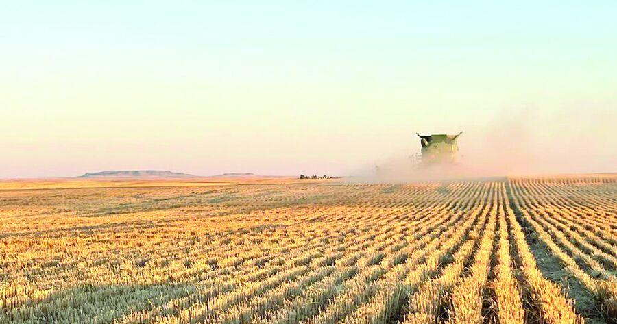 Wheat prices erode during ‘tough sledding’ period