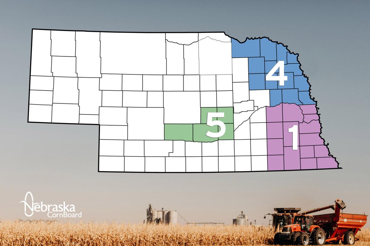 Corn board vacancies