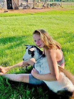 Farm Critter Corner