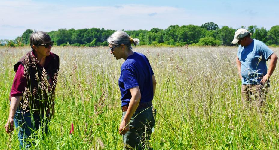 Merrie Schamberger on pollinator walk