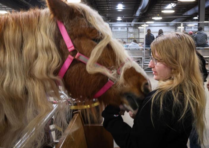 Midwest Horse Fair 10-20250411-54351.jpg