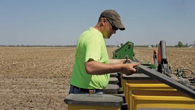Shane McKibbon checks seed