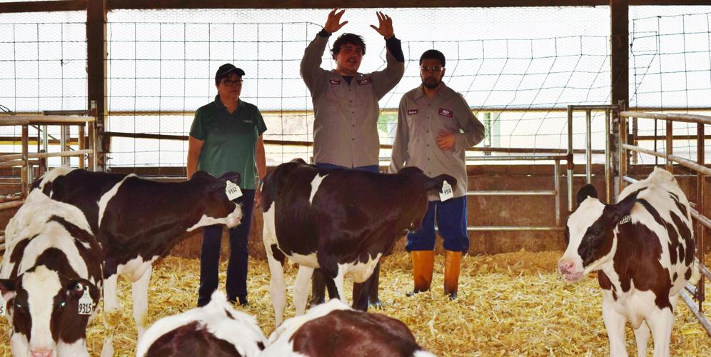 Human-animal interaction training