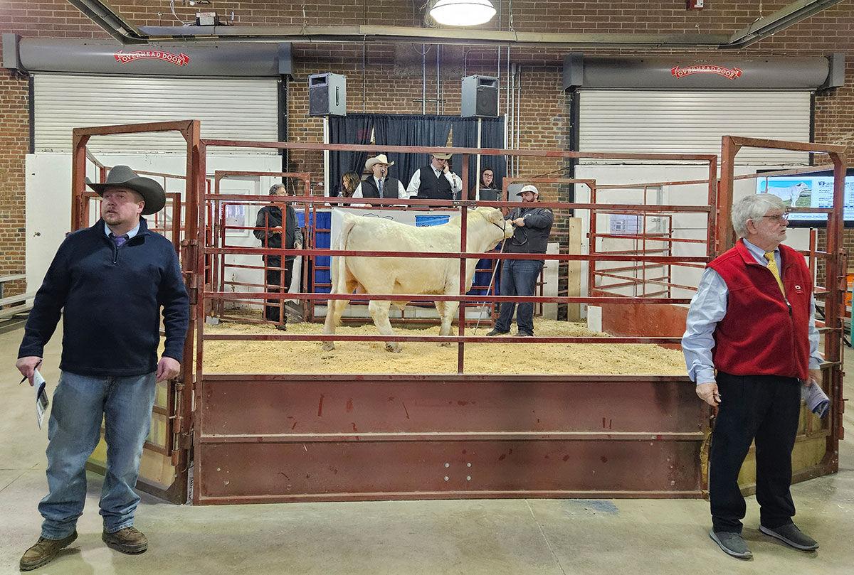 Top sellers surprised at Iowa Beef Expo