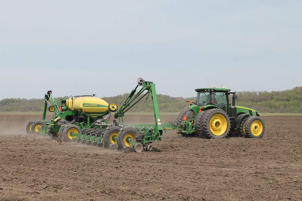 planting
