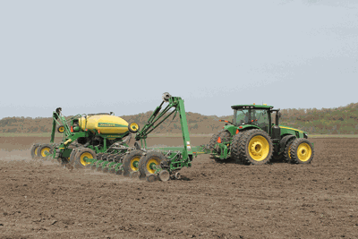 planting