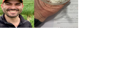 Genomic techniques can streamline breeding