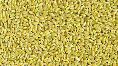 Durum