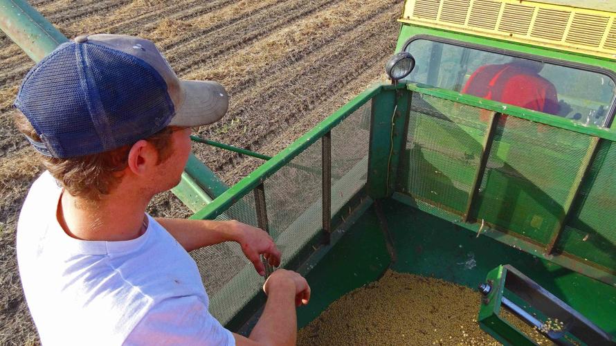 Matt Wundrow rides on top of the back of the combine