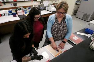 Fertility research.jpg