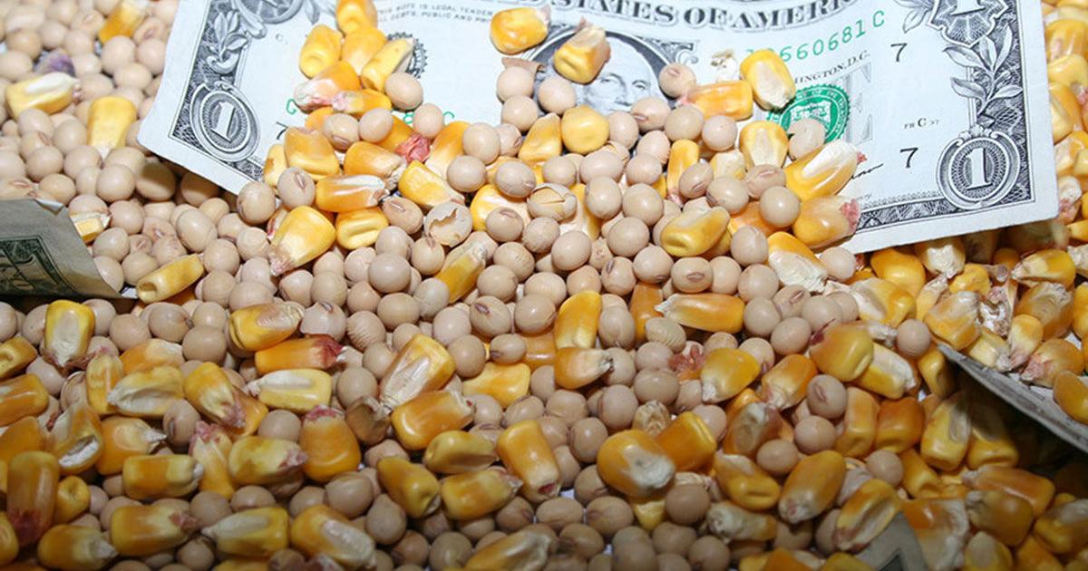 Market analysts urge risk management